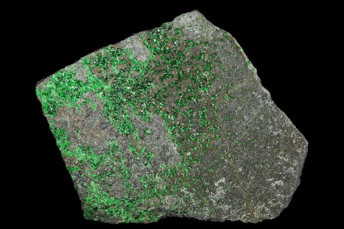 Druzy Green Uvarovite (Garnet Group) - Russia #178963